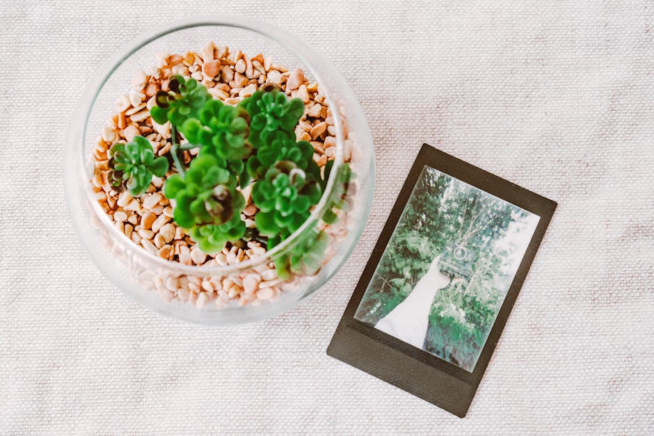 "How to create a beautiful terrarium garden in a glass teapot"